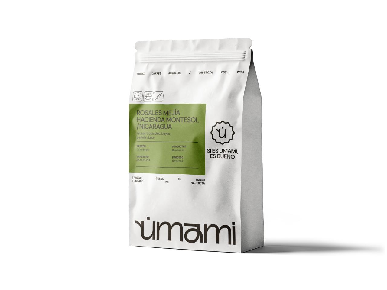 ROSALES MEJIA - NICARAGUA